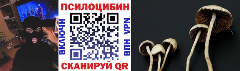 Псилоцибиновые грибы мицелий Углич