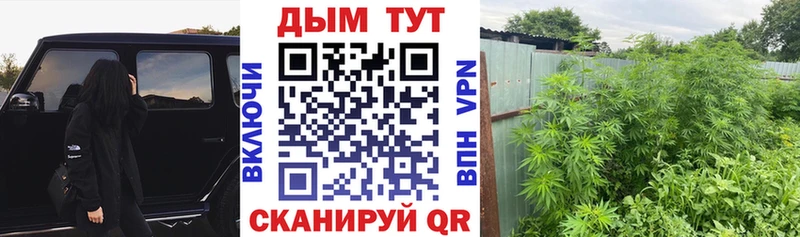 Каннабис планчик Углич